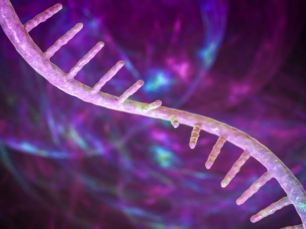 RNA, 유전자, 자가면역질환, 명쾌한한의원, 명쾌한최원장