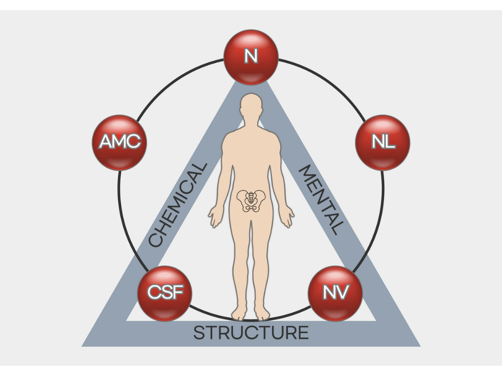 응용근신경학,AK,Applied kinesiology, 알레르기검사,알러지검사,알러지치료,알레르기치료,명쾌한한의원, 명쾌한최원장