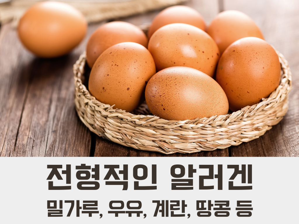 밀가루 우유 계란 땅콩 알레르기 알러지 명쾌한한의원 명쾌한최원장 병원