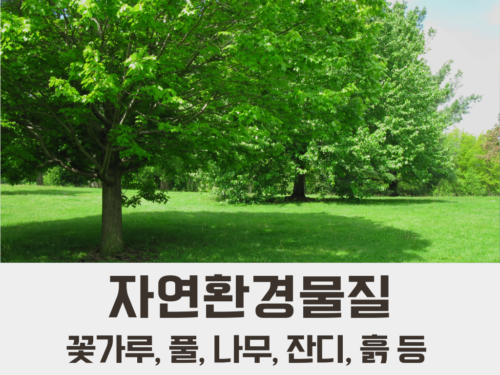 꽃가루 풀 나무 잔디 흙 알레르기 알러지 명쾌한한의원 명쾌한최원장 병원