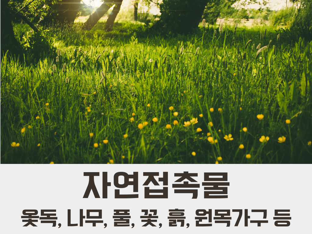 옻 나무 풀 흙 알레르기 알러지 명쾌한한의원 명쾌한최원장 병원