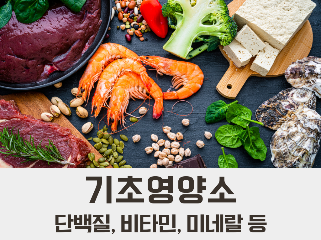 단백질 비타민 미네랄 영양소 알레르기 알러지 명쾌한한의원 명쾌한최원장 병원