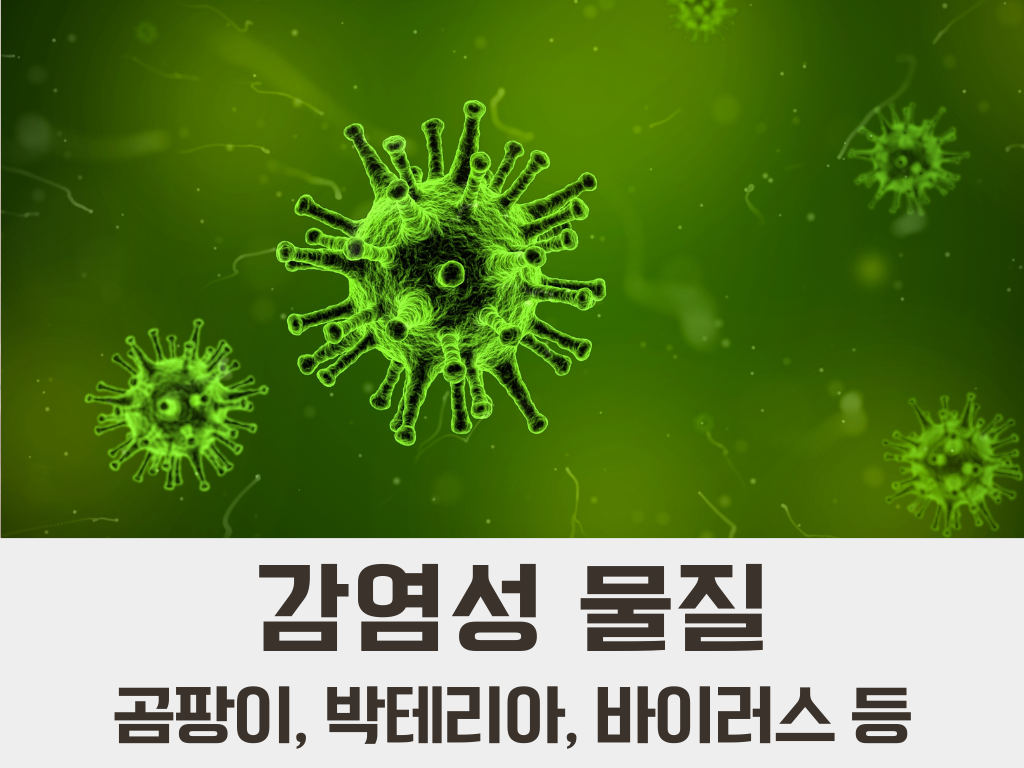 곰팡이 박테리아 바이러스 코로나 알레르기 알러지 명쾌한한의원 명쾌한최원장 병원