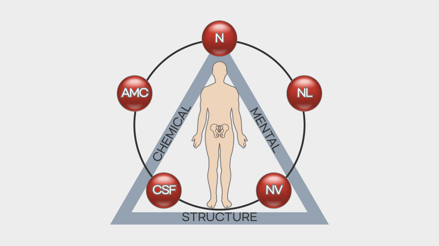 응용근신경학 AK Applied kinesiology 근육반응검사 명쾌한한의원 명쾌한최원장 알레르기 검사 치료